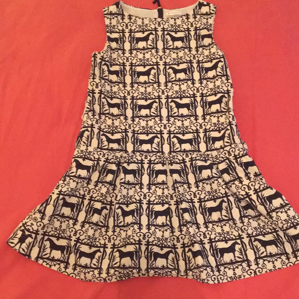JCrew Equestrian Party Dress Size 10